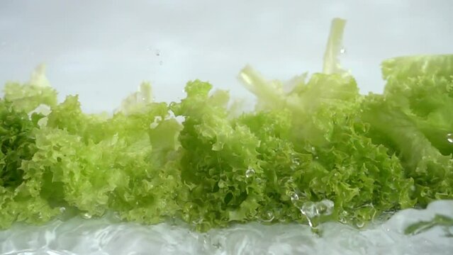 Washing of lettuce leaves. Slow motion.