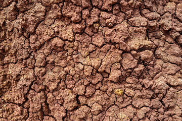 Detail of red clay texture at the Painted Hills Unit of the John Day Fossil Beds National Monument in Oregon, USA