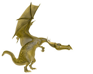 dragon cartoon planing attack side view