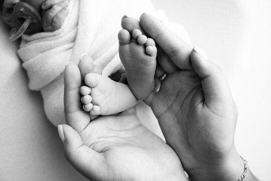 Parents' palms. Father and mother hold the legs of a newborn baby. Feet of a newborn in the hands of parents. Photo of the foot, heels and toes. Black and white studio macro shot.