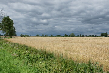 Krajobraz nadmorski. Nowy Dwór Gdański. Polska - Pomorze - Żuławy © Rafa