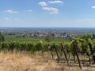Fototapeta premium Vom Berg unterhalb der Rietburg bietet sich ein schönes Panorama der Weinstraße und des Dorfes Rhodt unter Rietburg. 