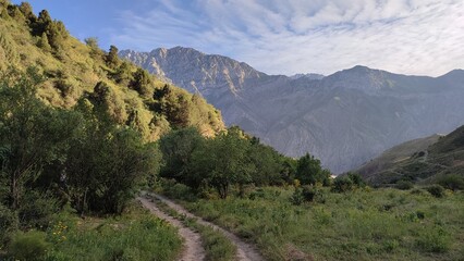 landscape in the mountains