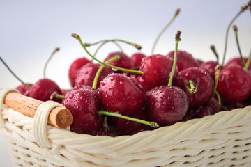 wet cherries in a basket with drops on a blue background. .selective focus on the front berries