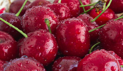 background image of a washed ripe cherry with water droplets. selective focus on medium berries