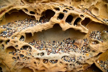 Closeup of colorful honeycomb rock formation with pebbles at oceanside