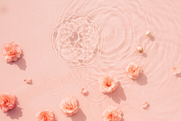 Pink roses, drops and waves on surface of the water. Water abstract background