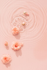 Summer background with pink roses in water with drops. Minimal natural backdrop