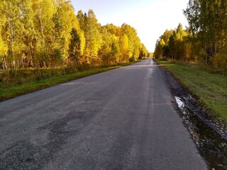 an asphalt road in an autumn forest with a blue sky