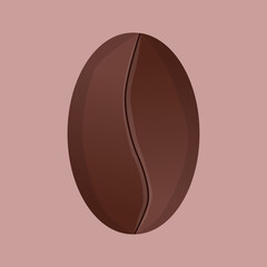 Vector illustration. Whole coffee bean. coffee house