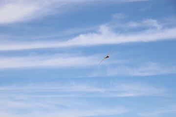 airplanes show aerobatics