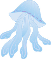 Sea jellyfish, an inhabitant of the underwater world.