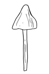 mushroom doodle toadstool, Linear sketch on white background