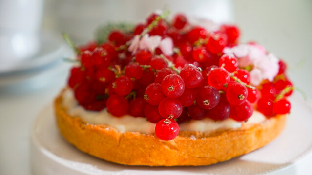Tarta porzeczkowa
