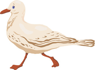 Funny seagull in cartoon style.