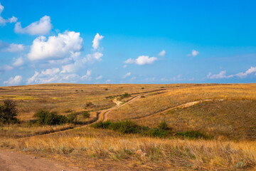 Fototapeta na wymiar Steppe dirt roads with dry grass and blue sky. Summer steppe landscape