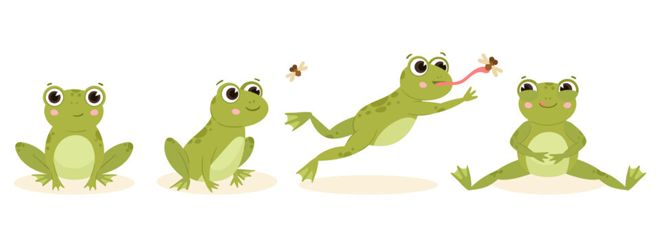 Cartoon cute hunting frog, amphibian carnivore catch insects. Green water animal food chain, hungry frog flat vector illustration. Frog nutrition process