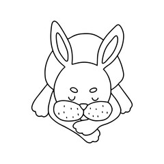 Rabbit outline