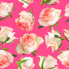 Seamless pattern of rose flowers photo on vibrant pink background