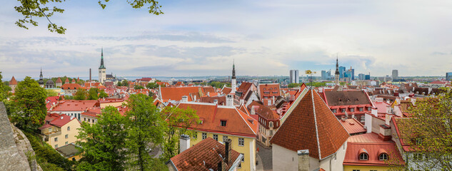 Naklejka premium Panoramic view of the red tile roofs of Old Town Tallinn