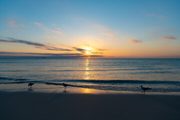 Naklejka na ściany i meble beautiful sunset with sea water on the summer beach. tranquility