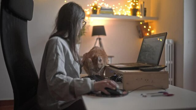 Cat distracting a focused caucasian girl working from home