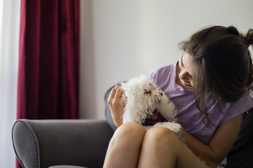 A girl is playing with a small beautiful white dog.