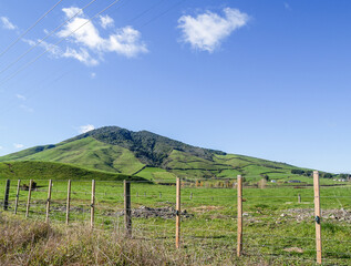 Fototapeta na wymiar Fertile green grassland hill from road under blue sky