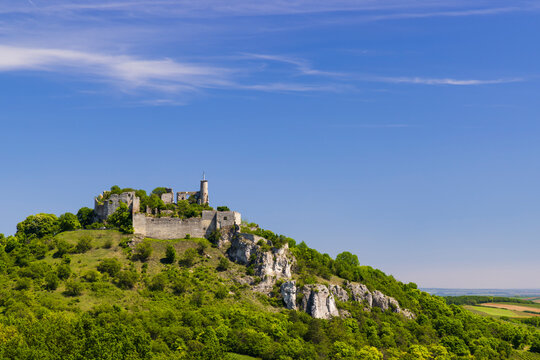 Falkenstein ruins and town with vineyard, Lower Austria, Austria
