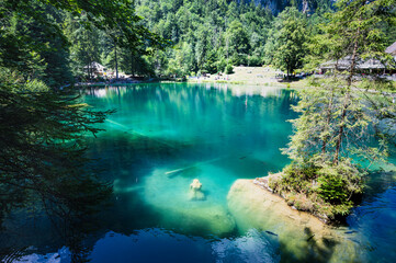 Oeschinensee on a sunny summer day