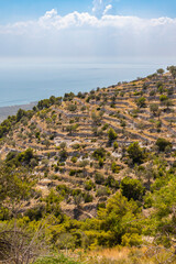 Landscape near Monte Sant Angelo, Apulia region, Italy