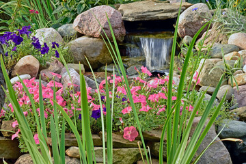 Petunias and spiky leaves soften the stone of a water feature, while framing the waterfall.
