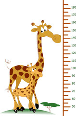 Fototapeta na wymiar Kids height chart, cute scale measurement for children grow. Baby measure meter for kindergarten with giraffes. Vector cartoon illustration