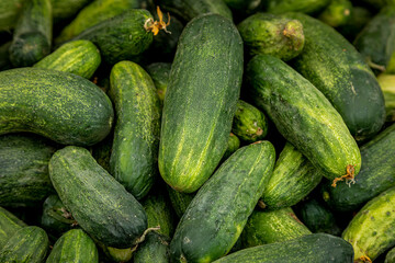 Summer afternoon at Farmer's Market in Fort Collins Colorado