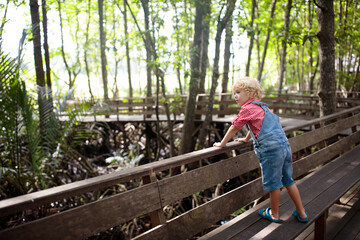 Fototapeta na wymiar Child in mangrove forest. Asia travel.