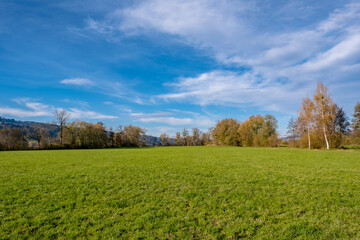 Autumn landscape with trees - Hochdorf, Switzerland