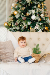 a cute little boy in jeans and a sweater on a couch with spruce branches.