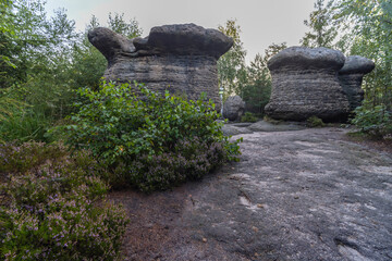 Stone mushrooms in a nature reserve Broumovske steny, eastern Bohemia, Czech Republic