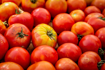 Summer afternoon at Farmer's Market in Fort Collins Colorado