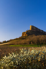 Rock of Solutre with vineyards, Burgundy, Solutre-Pouilly, France