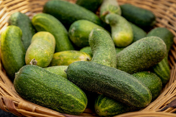 Summer afternoon at Farmer's Market in Fort Collins Colorado