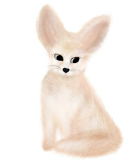 Cute Fennec Fox . Wildlife desert  animal . PNG