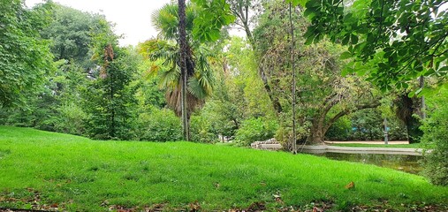 Beautiful park in Spain. Green natural background. Green tall trees in the park. Green foliage on trees in summer. Park in Madrid. Beautiful nature.