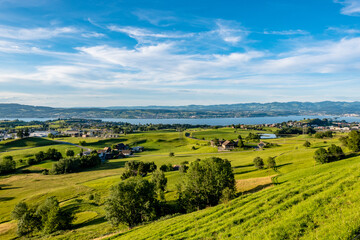 Fototapeta na wymiar Meadow landscape with a view of Lake Zurich - Wollerau, Switzerland