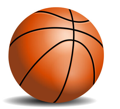 basketball ball vector