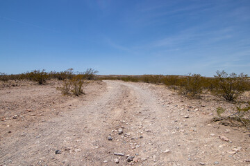 single lane dirt road in the desert