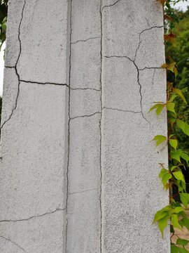 Risse im Gem&auml;uer mit Efeuranke