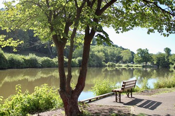 Obraz premium Bench at the lake 