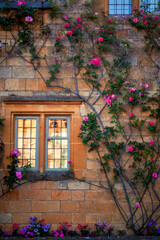Fototapeta na wymiar Climbing flowers on the facade of a house in Chipping Camden 