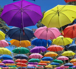 Fototapeta na wymiar Umbrellas at Lavender Festival, Cherry Valley, CA